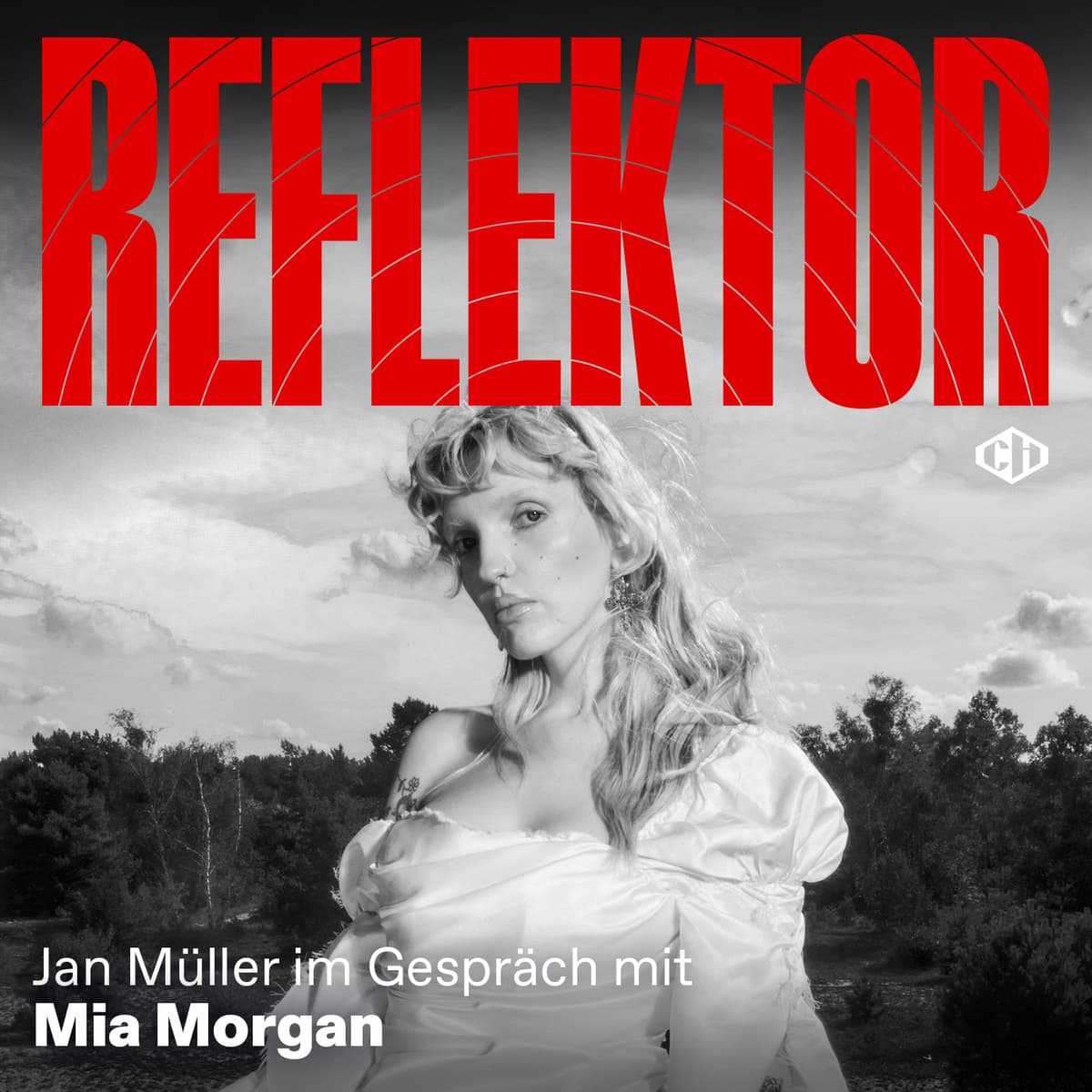 Cover Reflektor