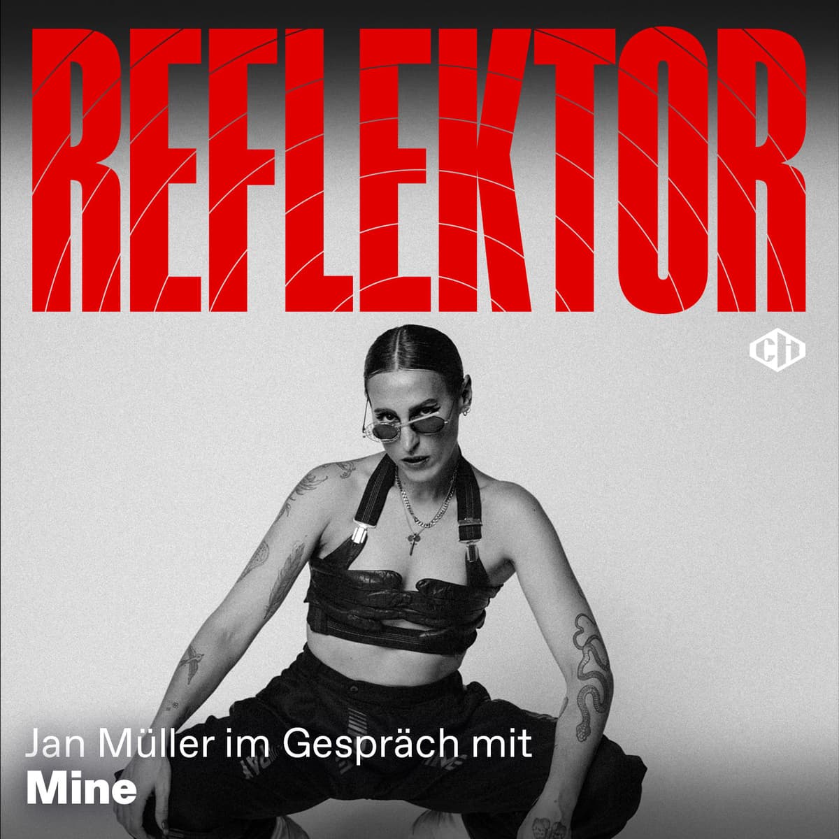 Cover Reflektor