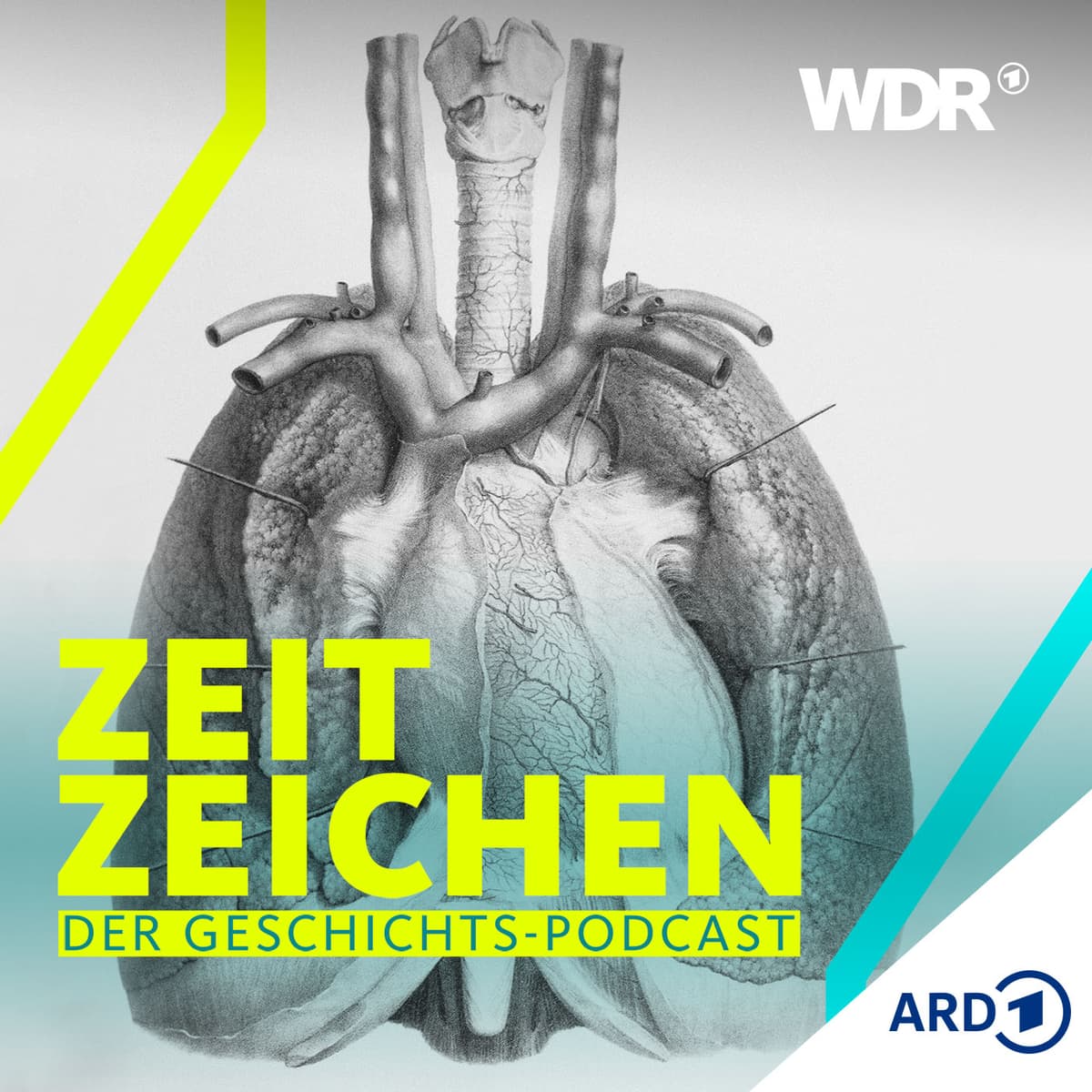 Cover WDR Zeitzeichen