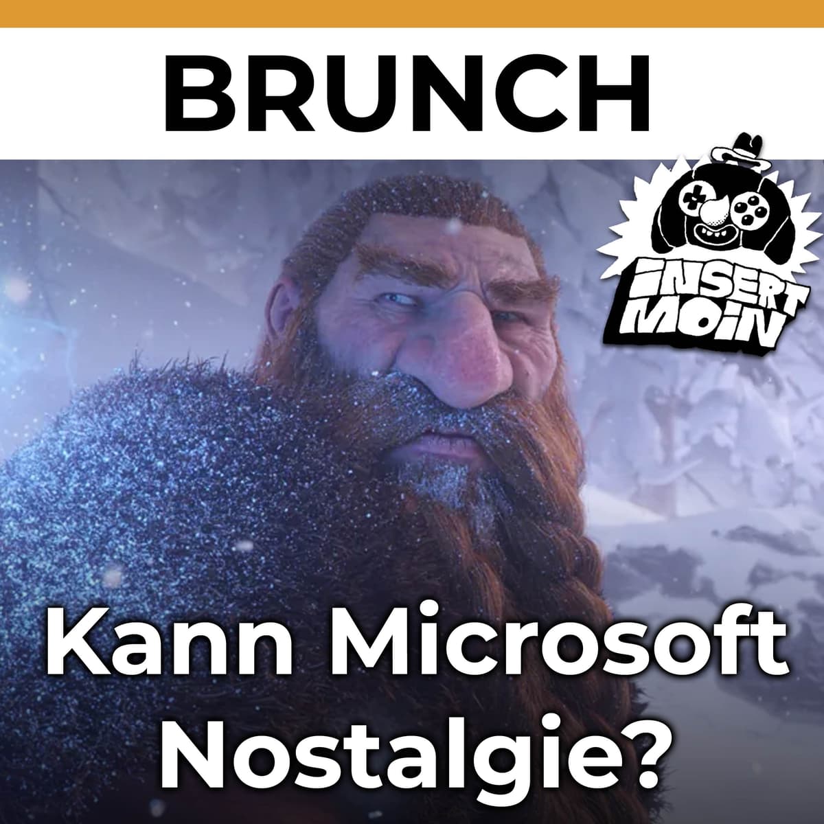 Cover Insert Moin