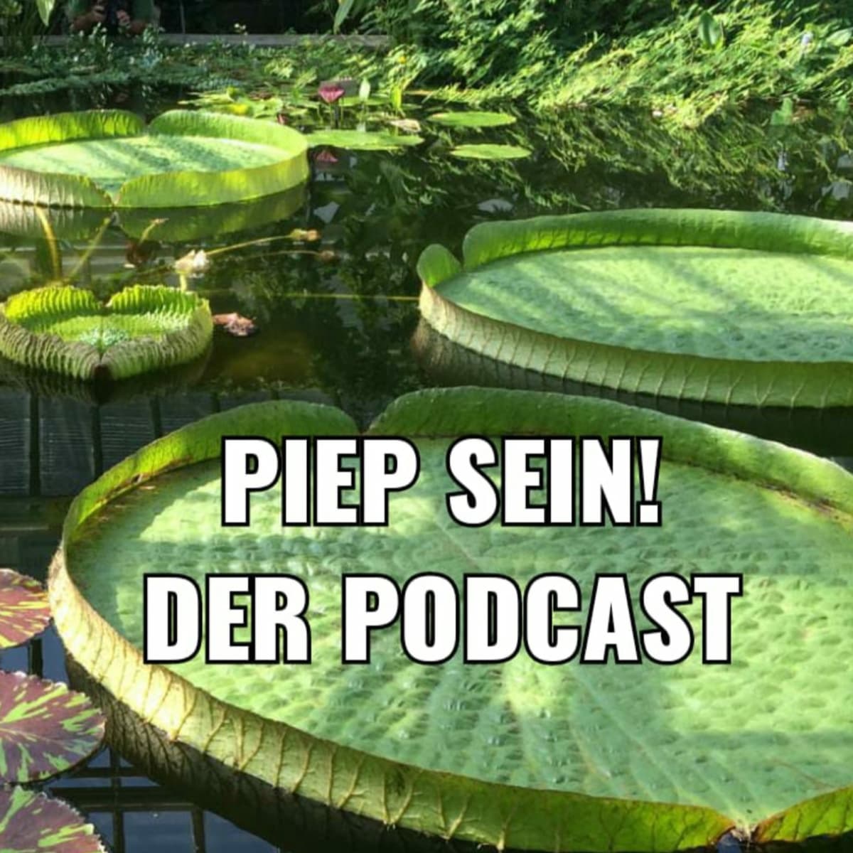 Cover piep sein! Der "Trash TV"-Podcast