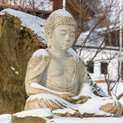 Cover Zen-Meditation | Hinnerk Polenski