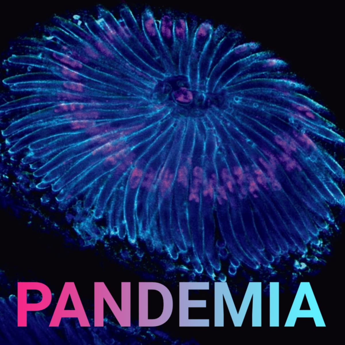 Cover Pandemia