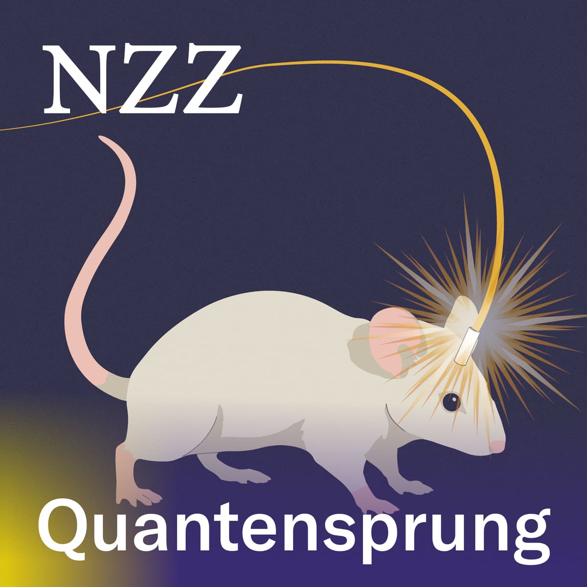 Cover NZZ Quantensprung