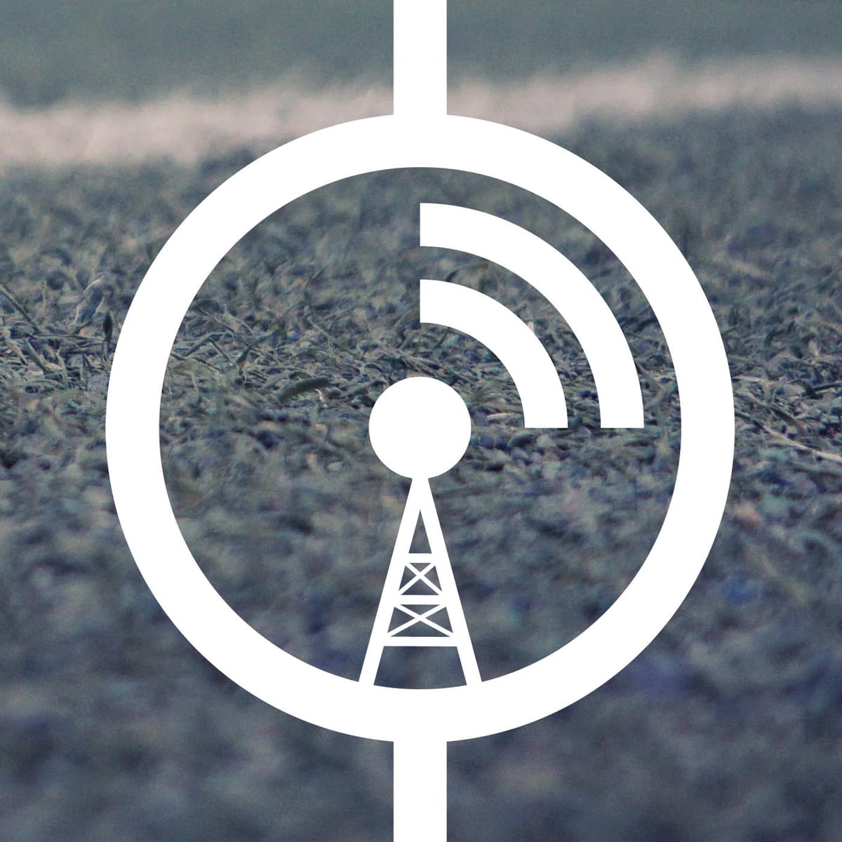 Cover Rasenfunk – Bundesliga | Männer