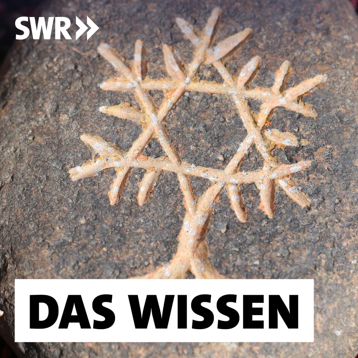 Cover Das Wissen | SWR