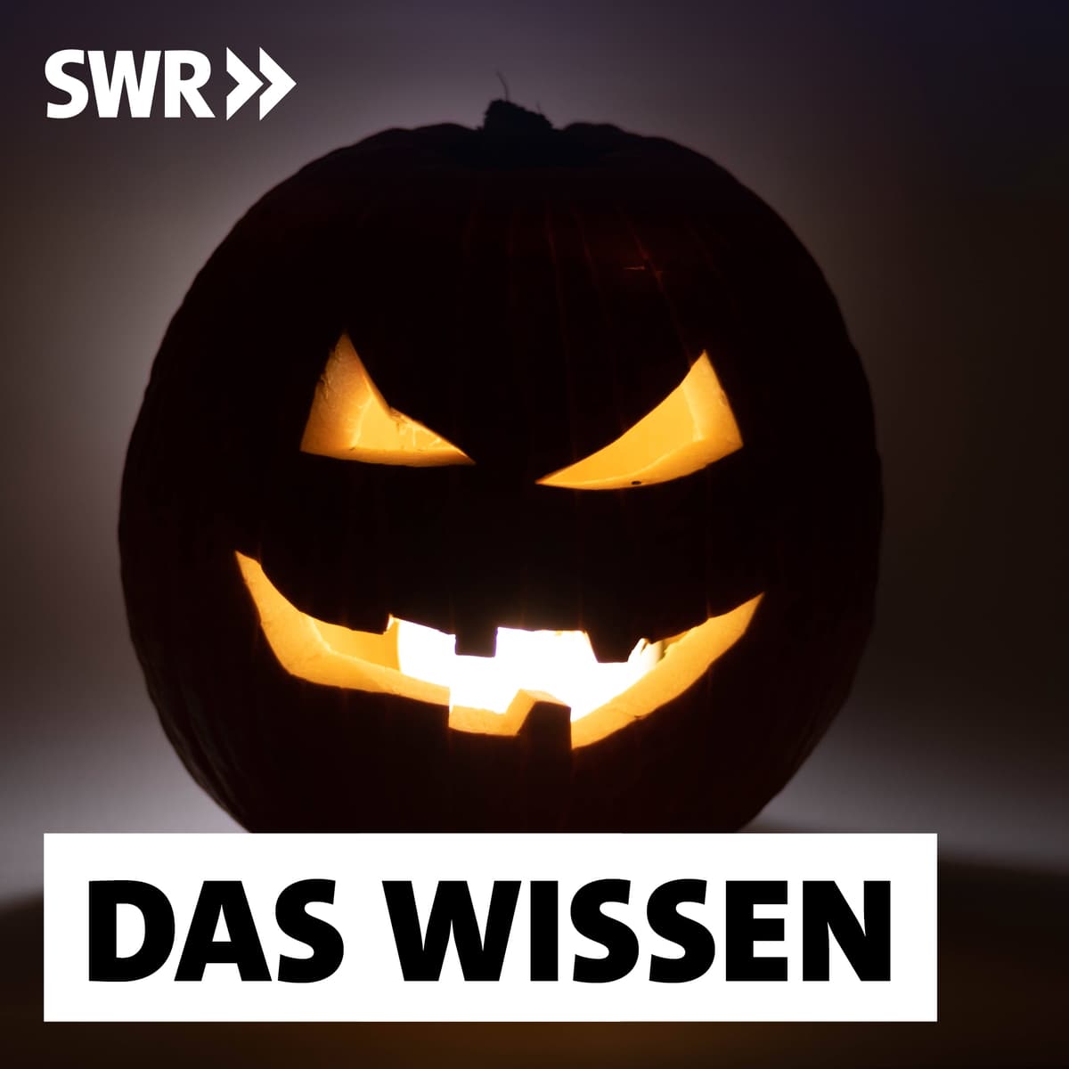 Cover Das Wissen | SWR