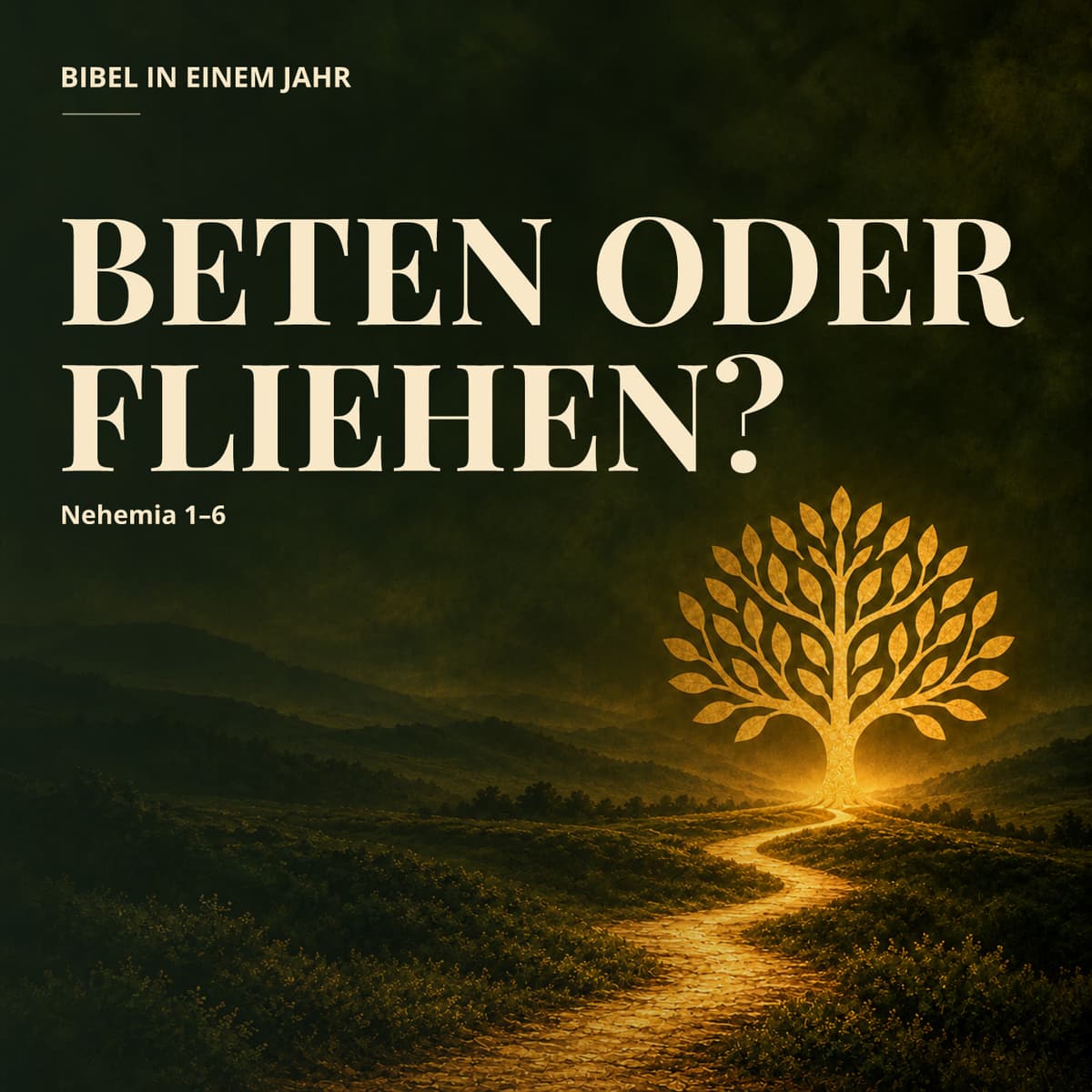 Cover Bibel in einem Jahr