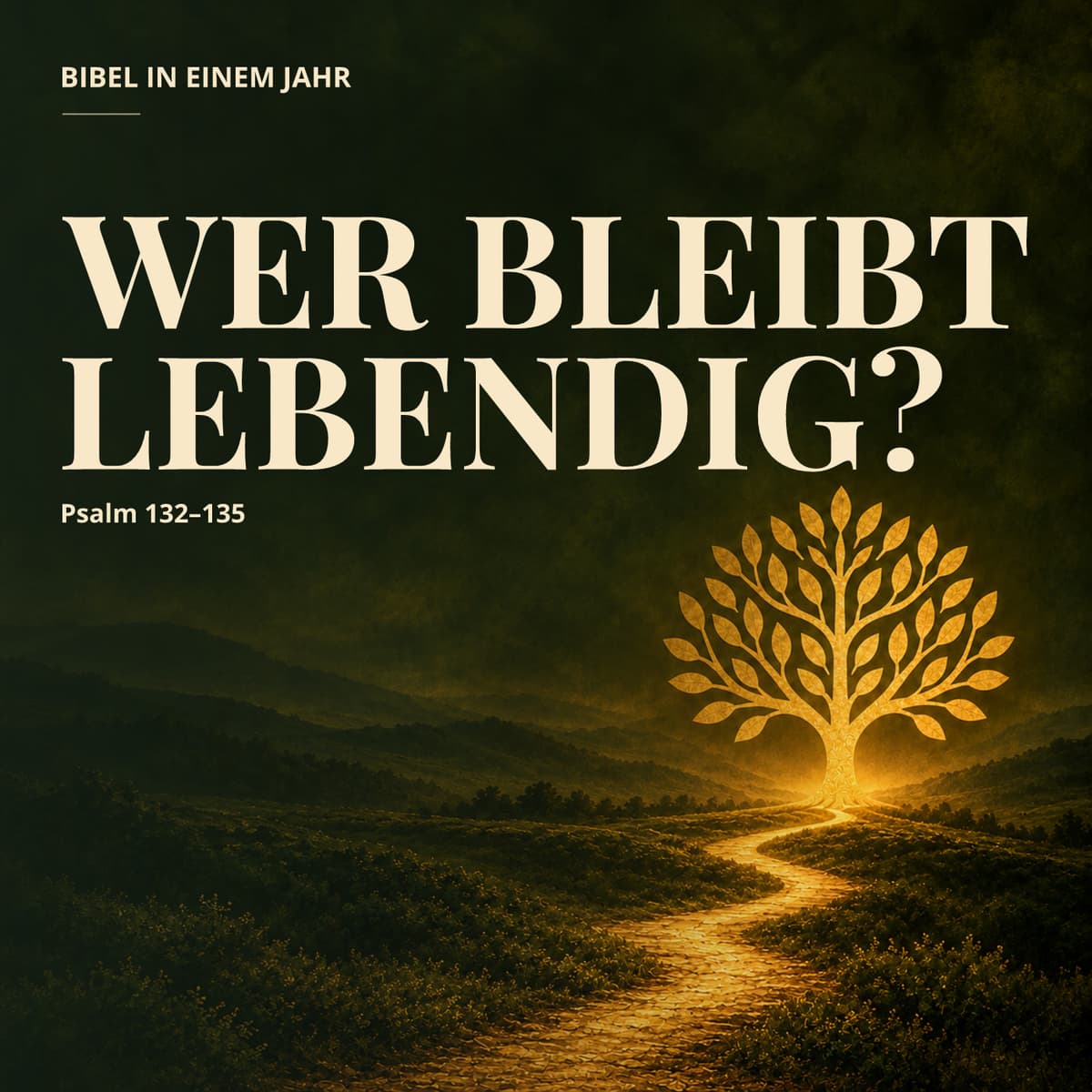 Cover Bibel in einem Jahr
