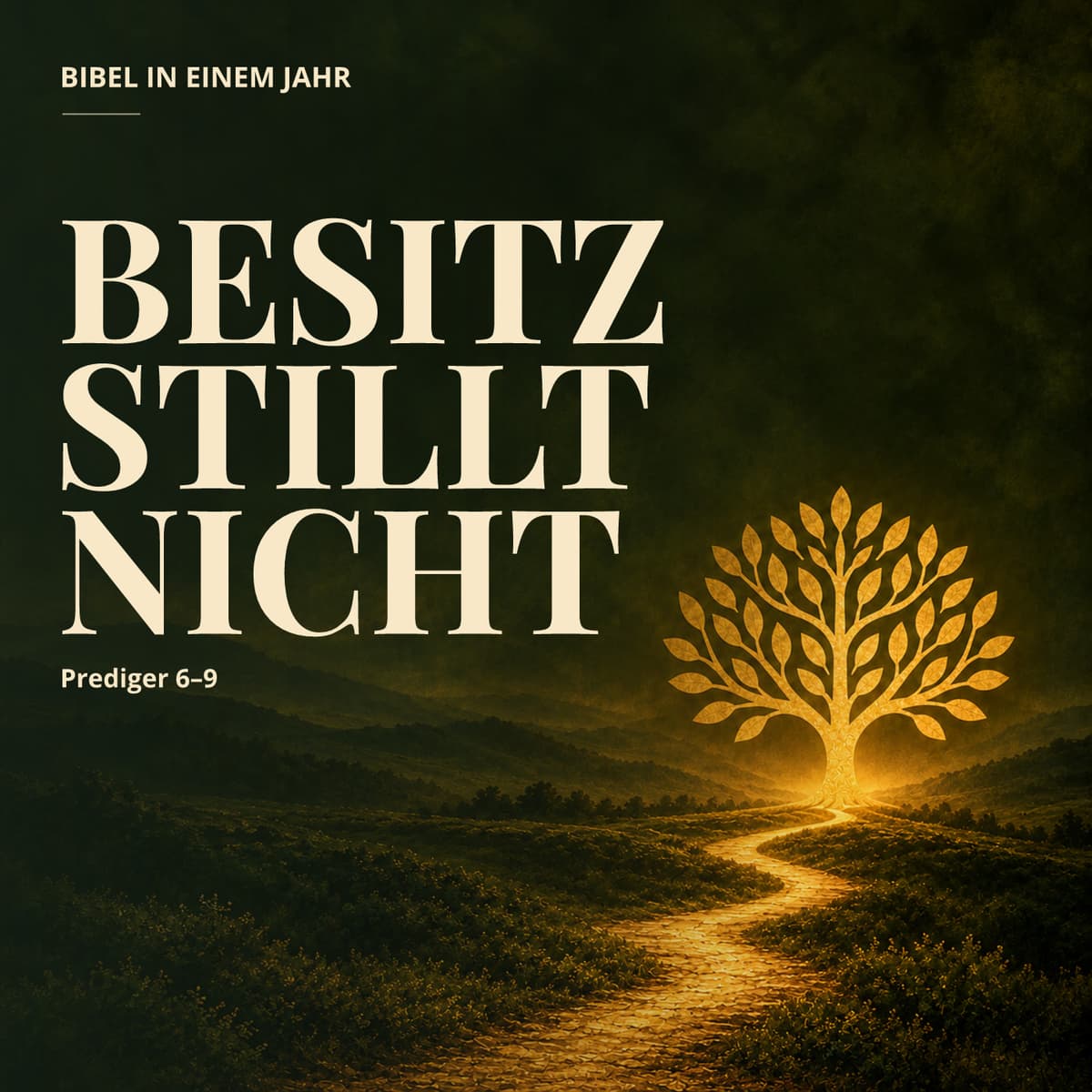 Cover Bibel in einem Jahr