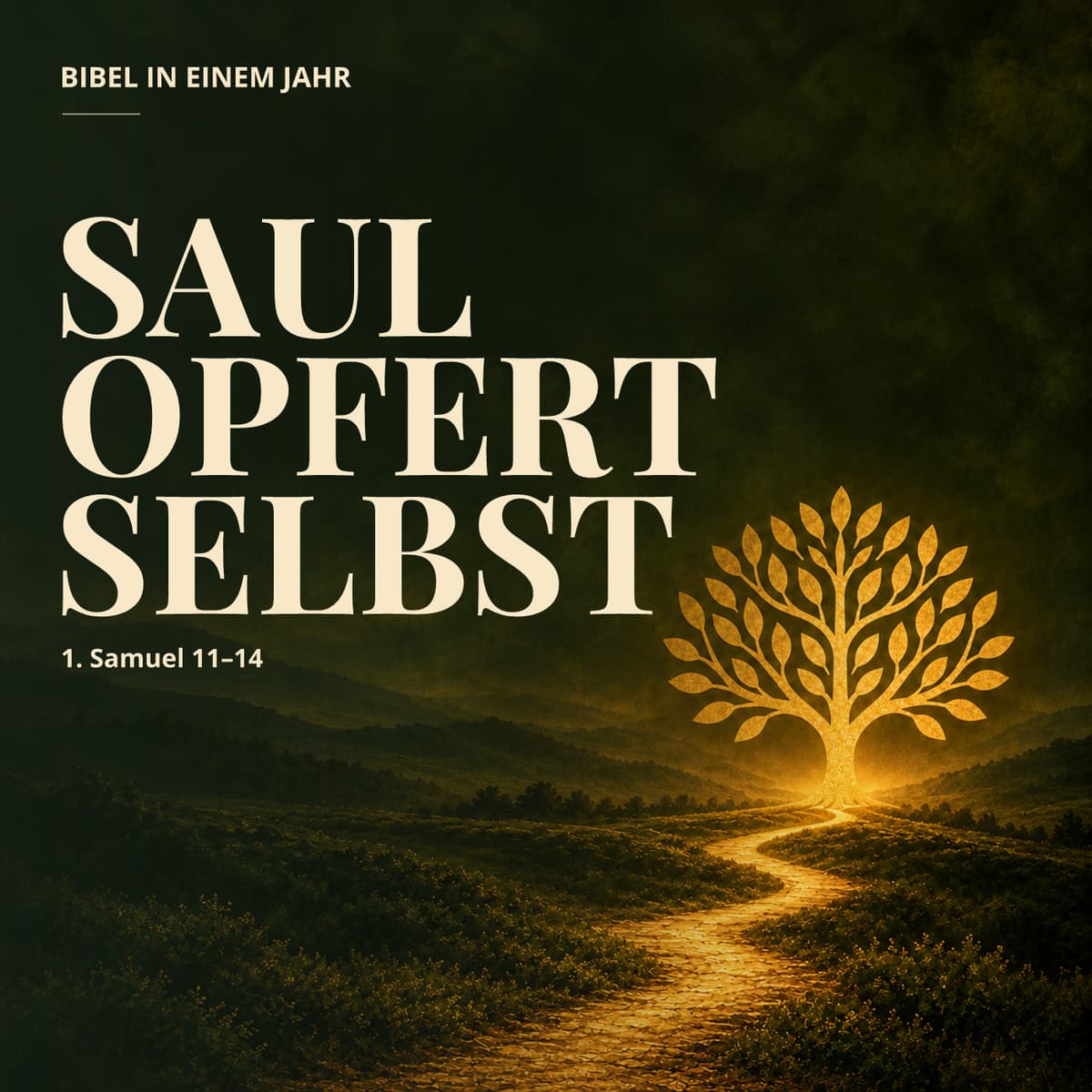 Cover Bibel in einem Jahr