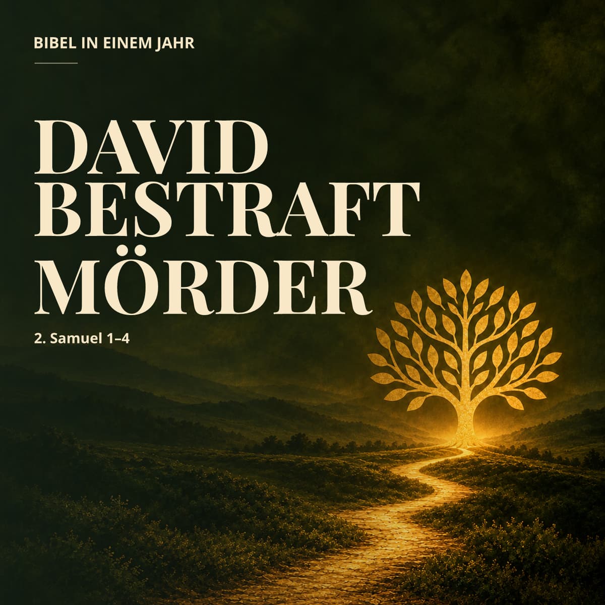 Cover Bibel in einem Jahr