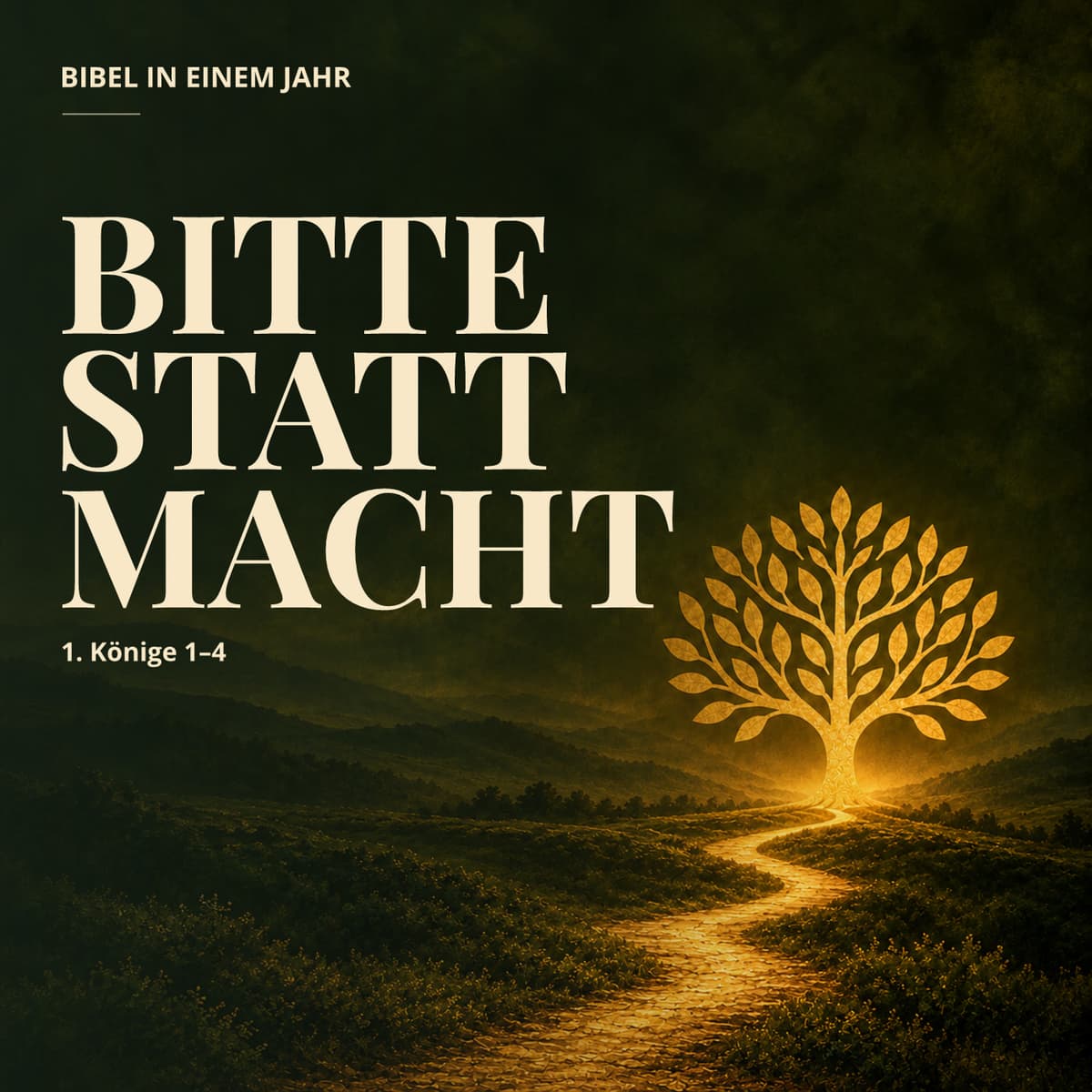 Cover Bibel in einem Jahr