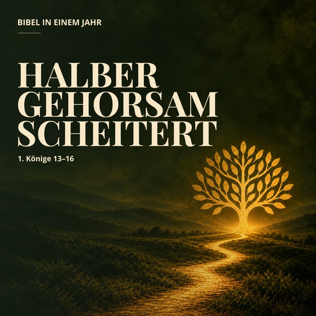 Cover Bibel in einem Jahr