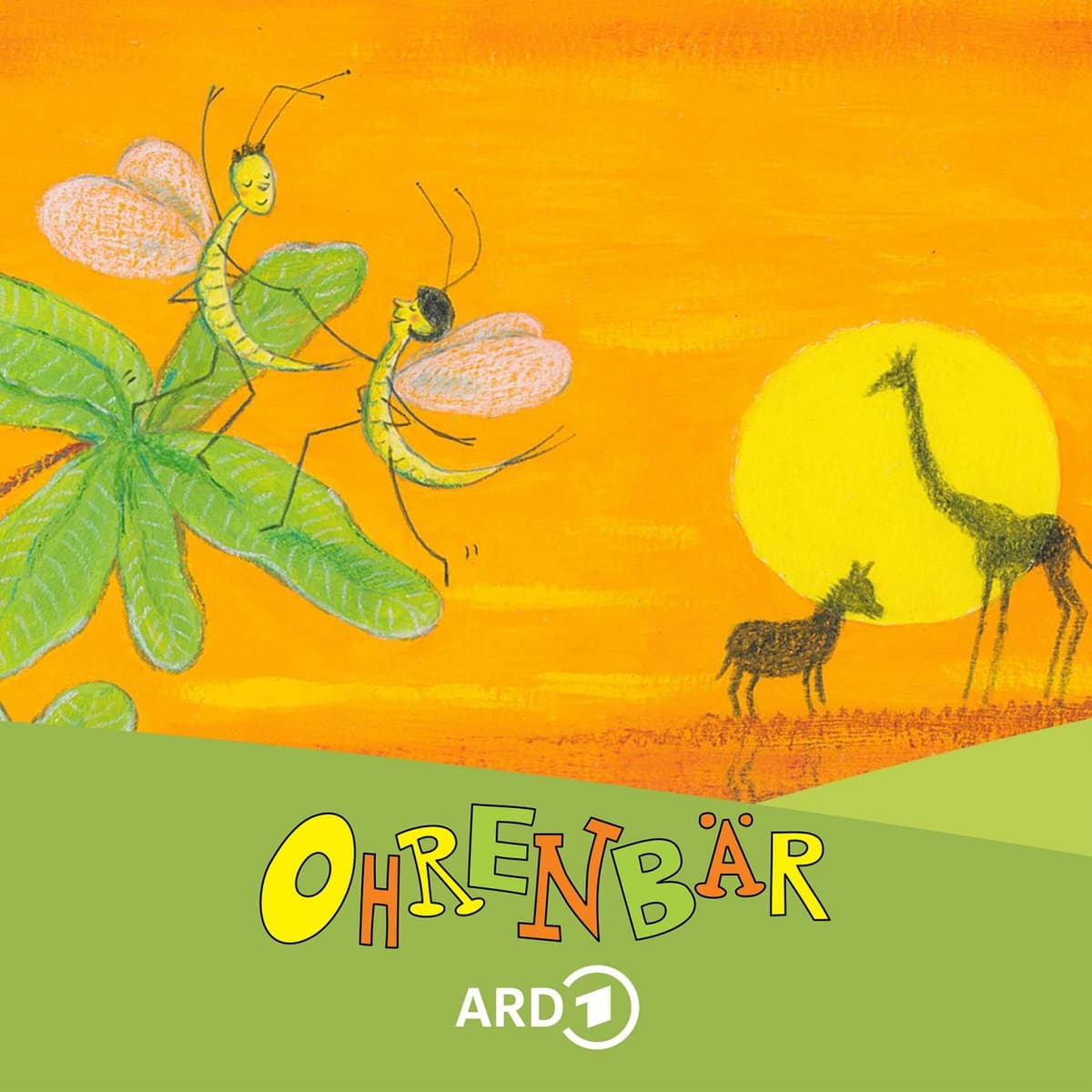 Cover Ohrenbär Podcast