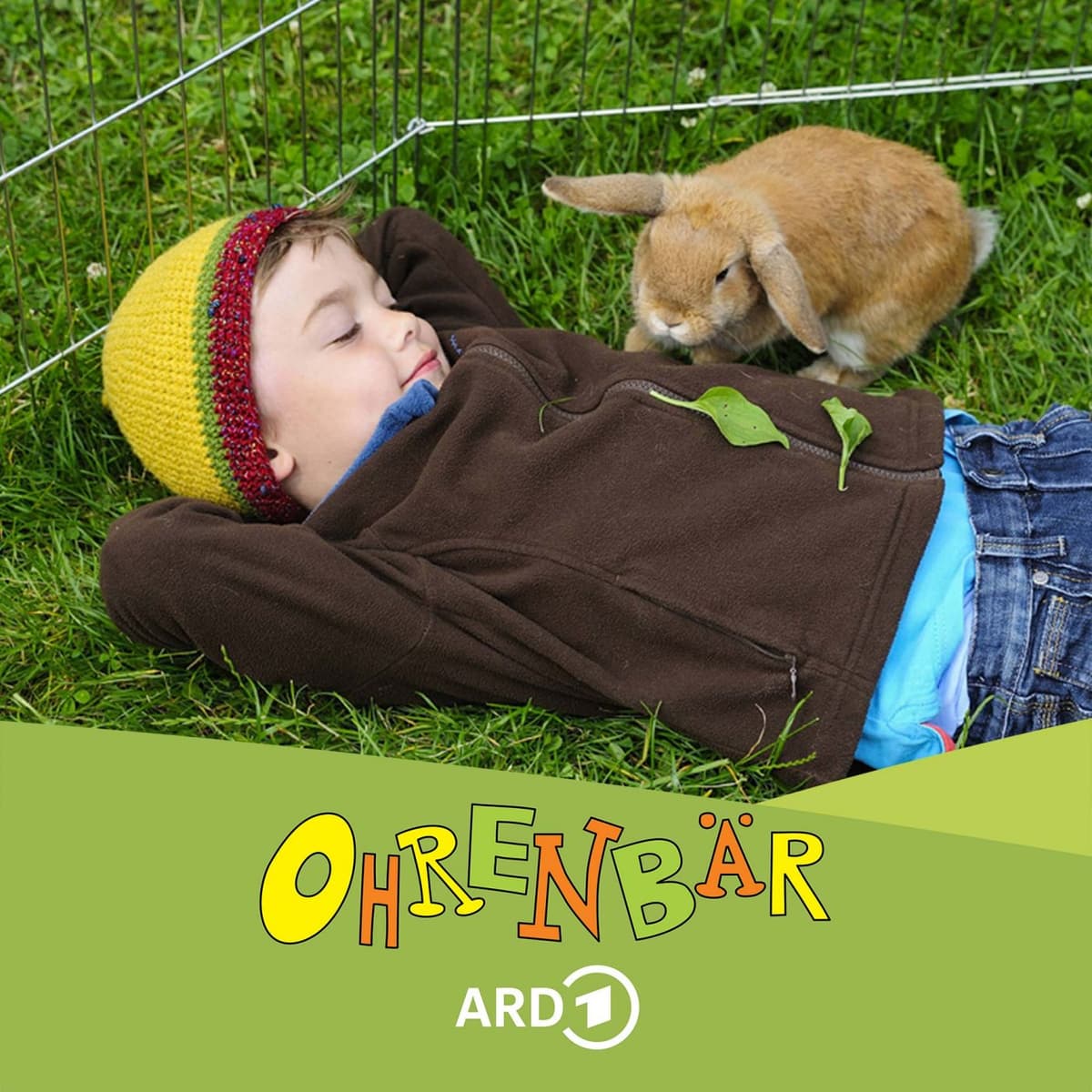 Cover Ohrenbär Podcast