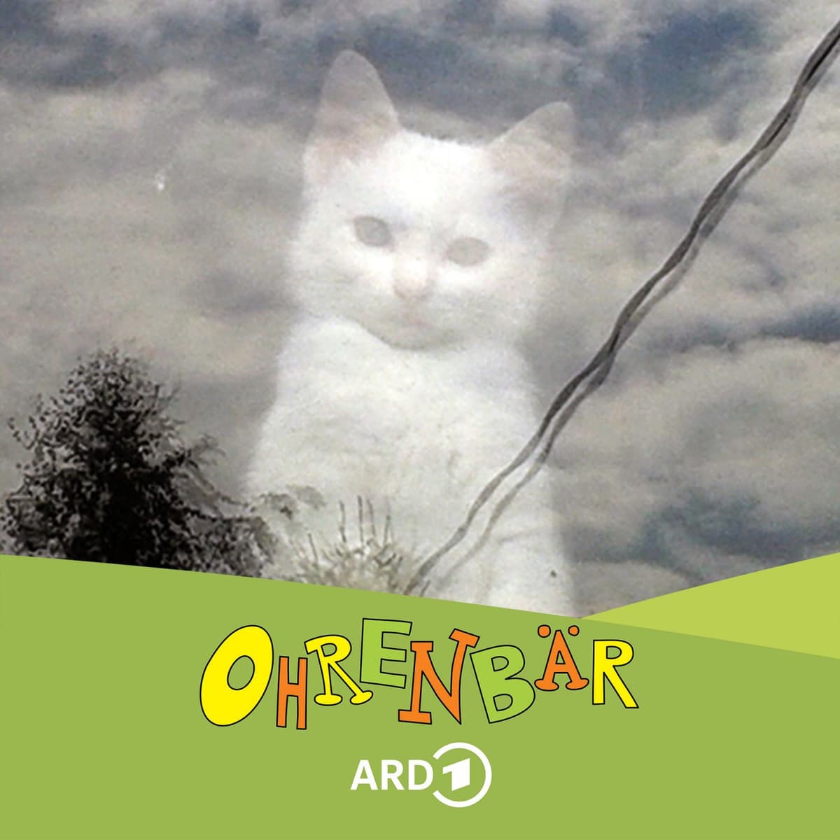 Cover Ohrenbär Podcast