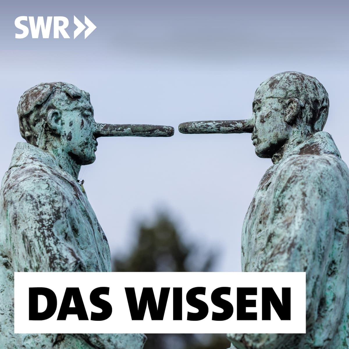 Cover Das Wissen | SWR