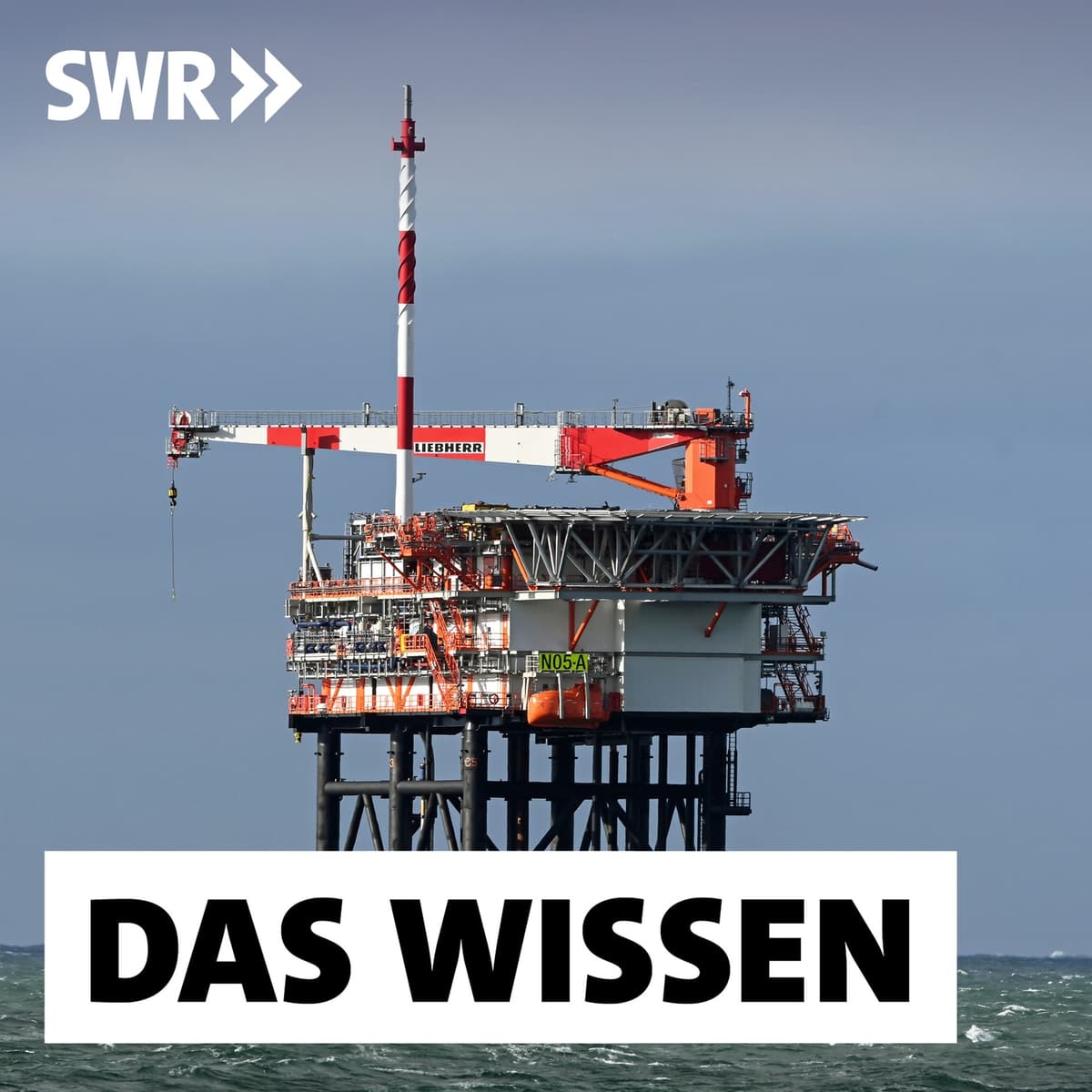 Cover Das Wissen | SWR