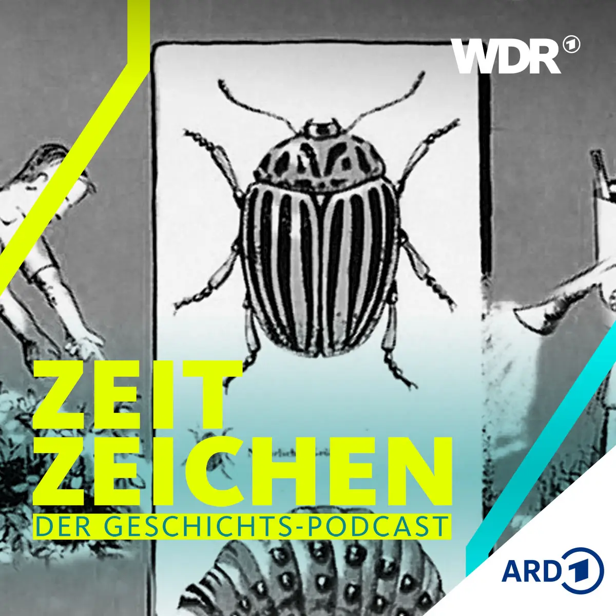 Cover WDR Zeitzeichen